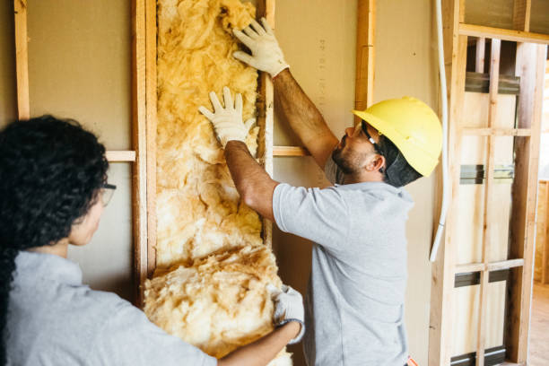 Best Radiant Barrier Insulation  in Longboat Key, FL